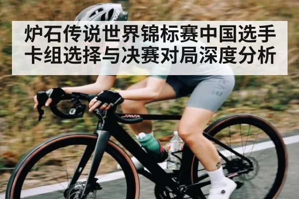 炉石传说世界锦标赛中国选手卡组选择与决赛对局深度分析
